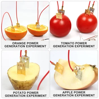 הניסוי ערכת פירות סוללות אביזרים מדע פרויקט אספקת ערכות פיזיקה ילד צעצוע